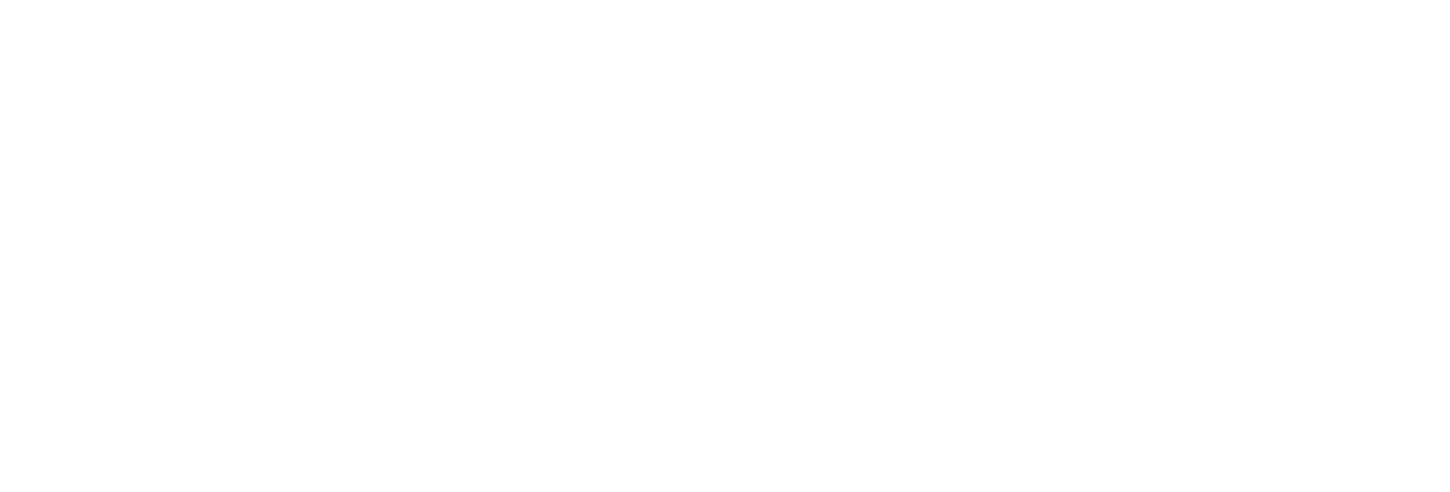 Hesaplı Sineklik